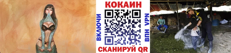 КОКАИН Fish Scale  Купить закладки  Мелеуз 